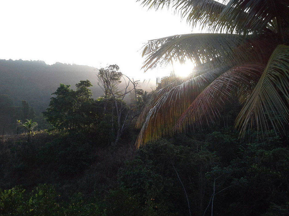 Las Cuevas Beach Lodge Buitenkant foto